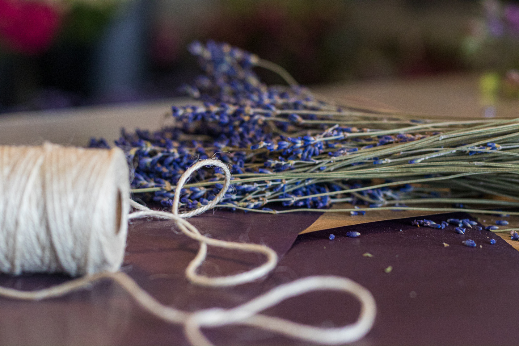 Lavender Close Up